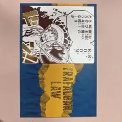 ワンピース　トラファルガー・ロー　ポストカード