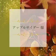 アップルサイダー様 リクエスト 4点 まとめ商品