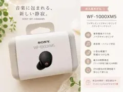 SONY WF-1000XM5 ブラック 充電ケース付き