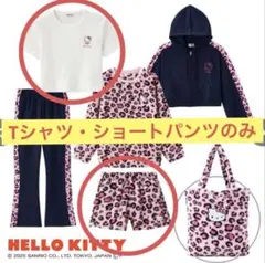 Item thumbnail for item 65ffc7b8-348f-4a34-9795-2f6cf52d3df6