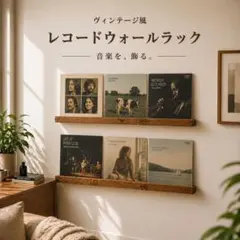 壁掛けレコードラック LP3枚用2本 収納 ウォールシェルフ 店舗什器 棚