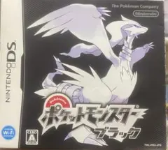 ポケットモンスター ポケモン DS ブラック 第五世代 配布個体14匹(過去含)