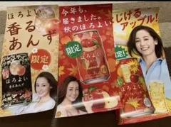 非売品 サントリー ほろよい 沢尻エリカ ポスター まとめ売り