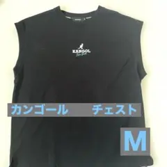 カンゴール　チェスト　Ｍ