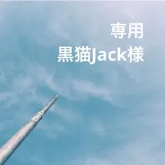専用ページ 黒猫Jack(プロフ必読)様 - メルカリ