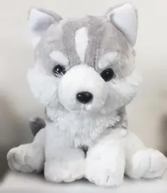 石川県産の犬のぬいぐるみ - メルカリ