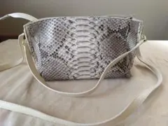 タエアシダ ワンショルダー バッグ パイソン - メルカリ