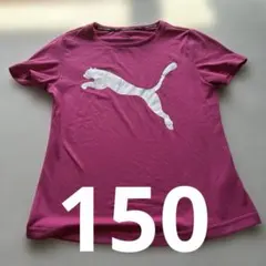 プーマ　PUMA ピンク　Tシャツ　運動会　140 150