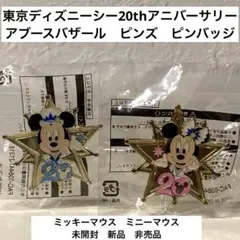 東京ディズニーシー　ピンバッジ　ピンズ　20周年　アブースバザール　2種　新品