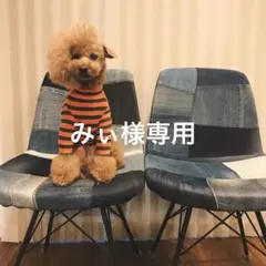 みぃ様専用 犬服 ハンドメイド