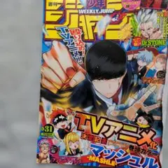 週刊少年ジャンプ付録　ワンピース