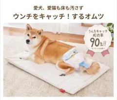 うんぽパンツM 64枚（定価15440円） うんぽパンツM 64枚（定価15440円） 爽快ドラッグ - おむつ M