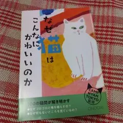 【ONDORI】100の疑問が解き明かす なぜ猫はこんなにかわいいのか