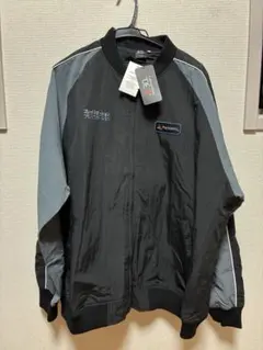 PlayStation 30th Anniversary niko and…