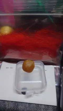 Item thumbnail for item 3f024537-2372-4f4e-a0be-6c8fec7ece66