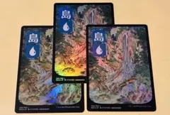 神河物語 基本土地foil 基本地形 2026年最新】神河 土地 foilの人気アイテム - メルカリ