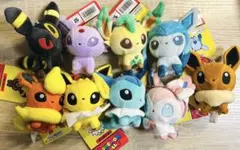 もっちりマスコット ポケモンドールズ　 イーブイズセットタグ付き※