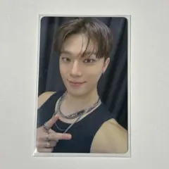 SEVENTEEN FC更新特典 トレカ ディノ