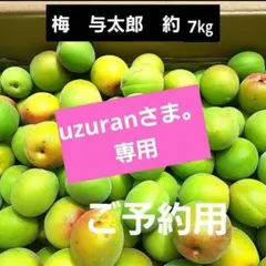 6/6収穫】福井県産 紅映梅（L以上）10キロ - メルカリ