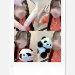 ランダムチェキ g