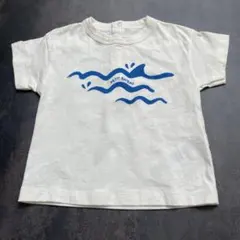 PETIT BATEAU ベビー Tシャツ 12m/74cmのサムネイル