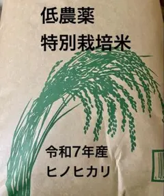 令和7年産 ヒノヒカリ 低農薬特別栽培米10kg　精米代金・送料無料のサムネイル