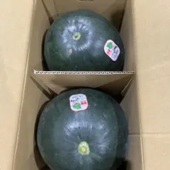 412特売！千葉県産富里大玉スイカブラックジャックC品Lサイズ1箱2玉入りのサムネイル