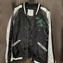 Item thumbnail for item a690dc32-69f1-4b8e-9f30-20b180d59802