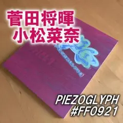 ☆ 菅田将暉 小松菜奈 アートブック 「FF0921 PIEZOGLYPH」 ☆ - メルカリ