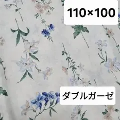 Item thumbnail for item 626b9149-7845-4205-a4b1-71d173fb04a4