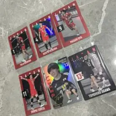 バレー選手トレーディングカードセット