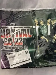 限定価格☆*【新品】THE SURVIVAL 2022 フェイスタオル