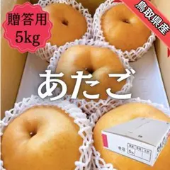 【のこりわずか！あたご梨】秀品５㎏　6,7,8玉　鳥取県産