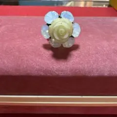 リング