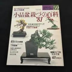 昭和57年発行小品盆栽づくり百科 GEBUN MOOKS 71 盆栽鉢 研究資料 昭和57年発行小品盆栽づくり百科 GEBUN MOOKS 71 盆栽鉢 研究資料