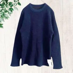 ティーエスエス ts(s)【１】厚手ニット/セーター/重厚感/シンプル/コットン