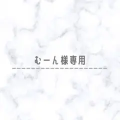 ✴︎むーん様専用✴︎