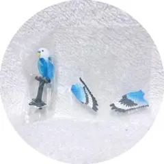 アニマルアトラクション インコ パライバトルマリン