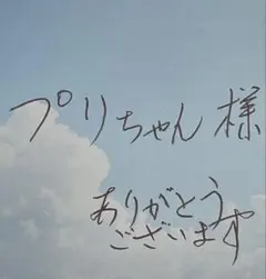 プリちゃん 様　専用
