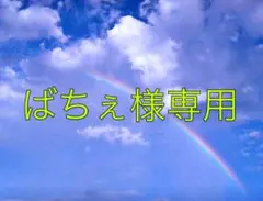 ばちぇ様専用