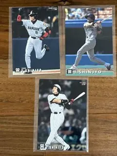 超希少品/未開封 1999 新庄剛志 フィギュア∼阪神タイガース 限定1000体 超希少品/未開封 1999 新庄剛志 フィギュア∼阪神タイガース