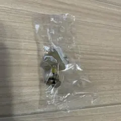 PEANUTS★めじるしアクセサリー★チャーリーブラウン