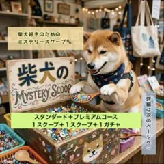 mystery scoop 柴犬のミステリースクープ プレミアム3＋ガチャ5 