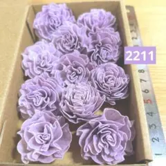 ソラフラワー　2211