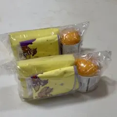 Item thumbnail for item f8031e63-6a6f-46ad-9a44-34a0c405682a