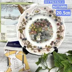 英国製　ロイヤルドルトン ブランブリーヘッジ AUTUMN プレート　飾り皿のサムネイル