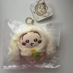 i-dle ミヨン minini baby ラインフレンズ ぬいぐるみ - メルカリ