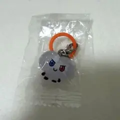 TRUZ BONBON めじるしアクセサリー ガチャ カプセルトイ