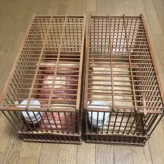 Item thumbnail for item a24a250c-4a0d-49a5-807c-e97e647f9fa7