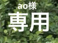 ao様 リクエスト 2点 まとめ商品